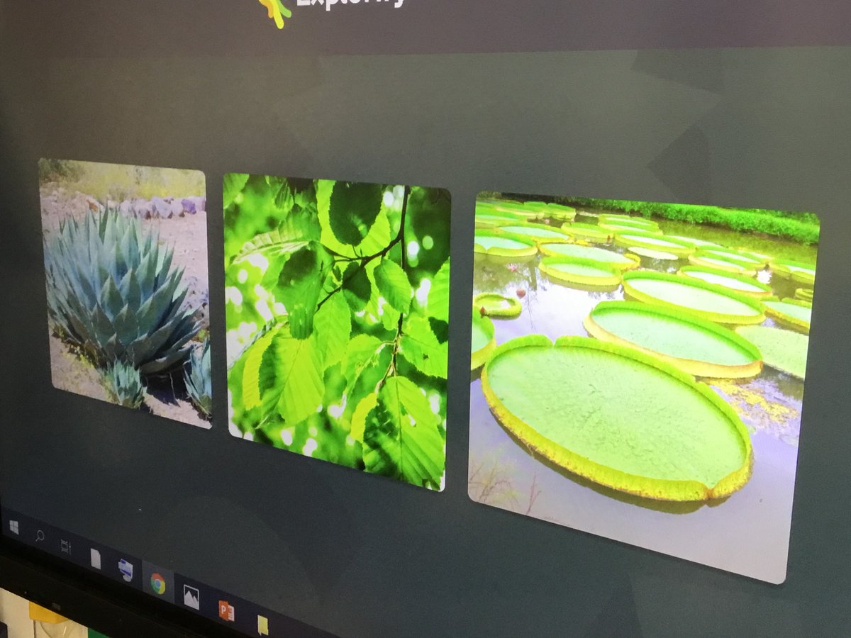 TGPS_NorthLincs's tweet photo. 1H have been discussing which is the odd leaf out using @ExplorifySchool #BSW20 #TGPSScience #TGPSYear1 #TGPSWorkingScientifically #TGPSSTEM https://t.co/DhCxzxkYH4