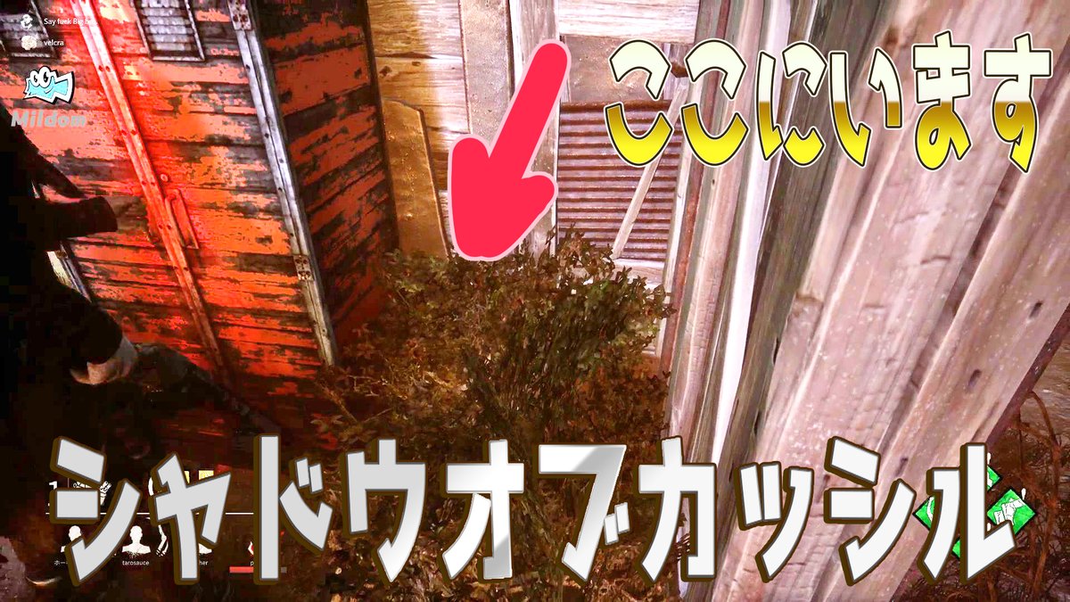 柏木べるくら على تويتر これマジで気づかれない 新マップの草でシャドウオブカッシル デッドバイデイライト 174 T Co 3oayoxjjmz Deadbydaylight