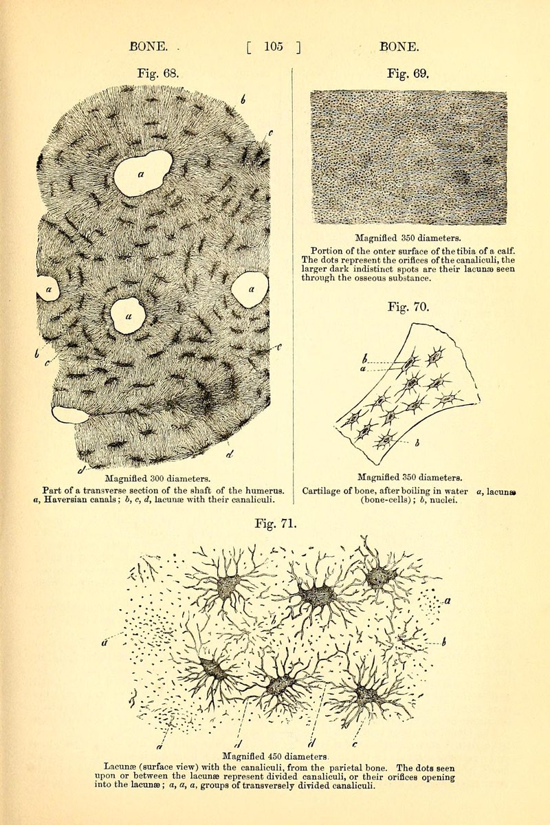 Worlds of Wonder tweet media