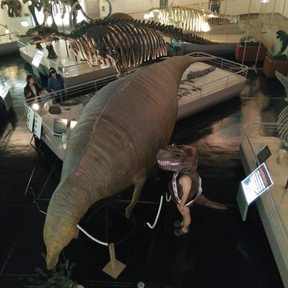 Haischlib 巨大生物 Ar Twitter