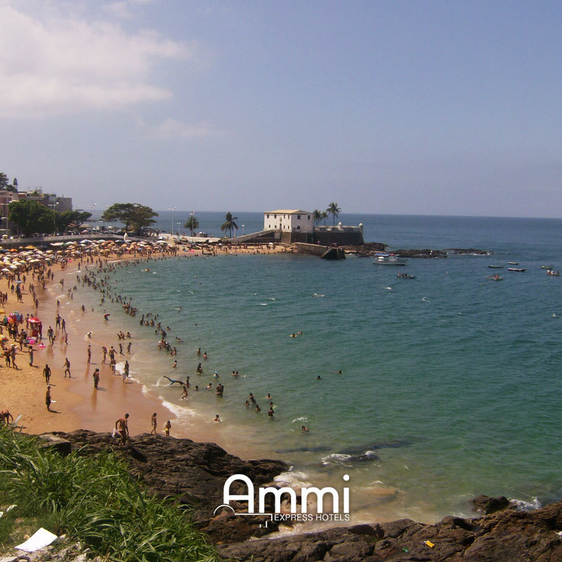 AmmiHotels's tweet photo. Por aqui tudo perfeito para aproveitar bem o dia. E você, chega quando? 🌴☀️🌊

#AmmiExpress #Salvador #Bahia https://t.co/q0UDuqu6P2