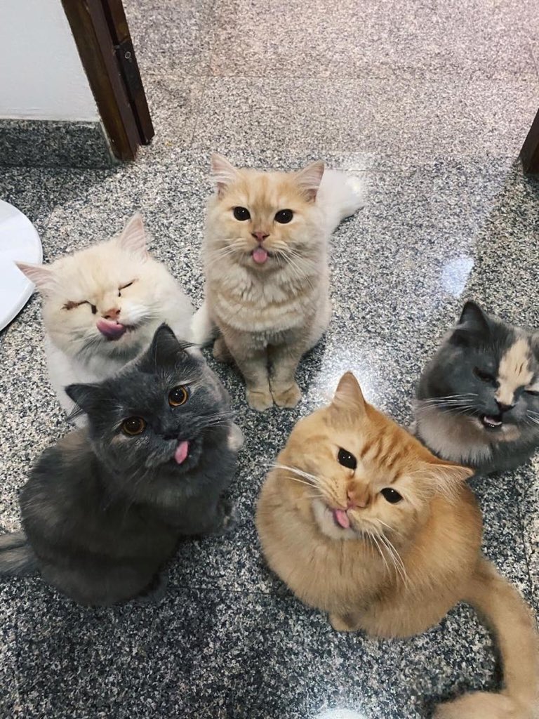 AkeemSharyzal's tweet photo. RT untuk hilangkan stress https://t.co/NP3y5WcJIS