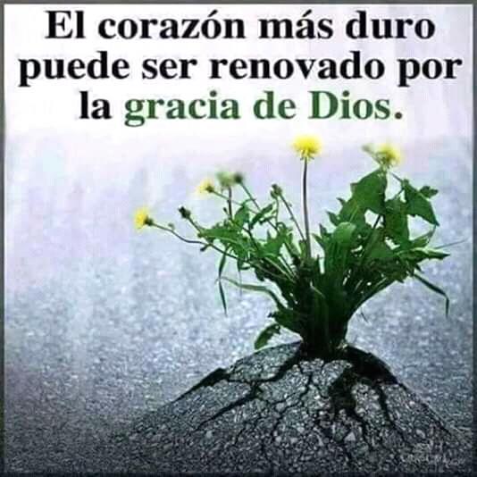Alexi68306485's tweet photo. #Mar12 #PrevencioYProteccionalpueblo.
Feliz dia para todos . (@NicolasMaduro)(@Ildemarz)(@Jose46798445)(@BELEN267248505)(@ChavistaLeal5)(@Teresa38159190)(@JosVillamizar10)(@TeAmoChavez2)(@amelia74698445)(@heriluzqm)(@Alexi68306485)(@Marisol15m)(@will6942). https://t.co/dluFakLbsq