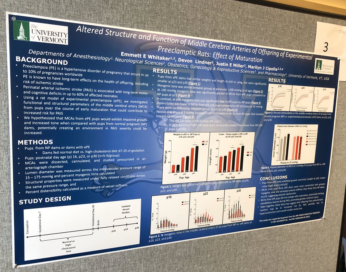 Presenting our #preliminarydata on the effects of #preeclampsia on cerebrovascular function in neonates. Up to 10% of #babies are products of preeclamptic pregnancies...huge implications for #pedsanes Special thanks to @CipollaLab for the amazing mentorship! @UVMLarnerMed