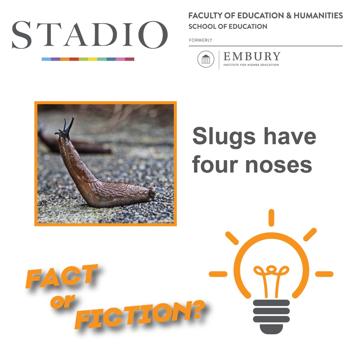 EmburyOfficial's tweet photo. Is it FACT or is it FICTION - Tell us what you think?

#proudlystadio #becometheteacher #education #studyteaching #studentlife #campuslife #intake #contactlearning #oncampuslearning  #midrandwaterfallcampus #durbanmusgravecampus #pretoriamontanacampus #knowledgeispower #learning https://t.co/sHcqVuCggk