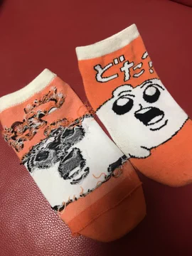 画像 / Picture