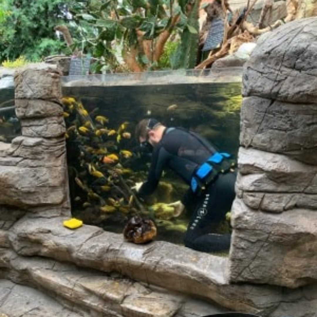 Bristol Aquarium on Twitter "Being a fish keeper isn't the most