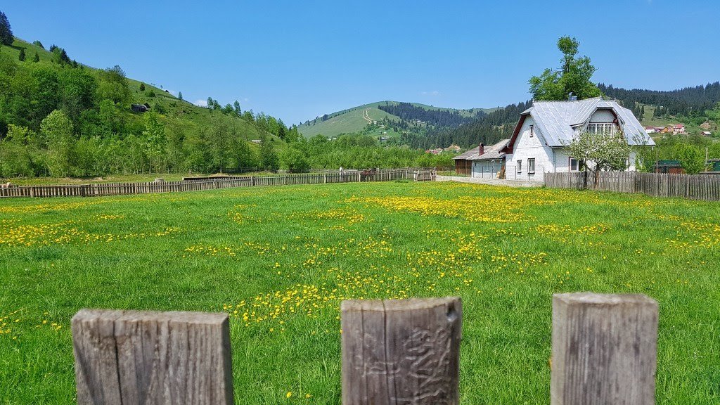 CameliaCristi98's tweet image. O primăvară de poveste de la 
  #GuraHumorului #România