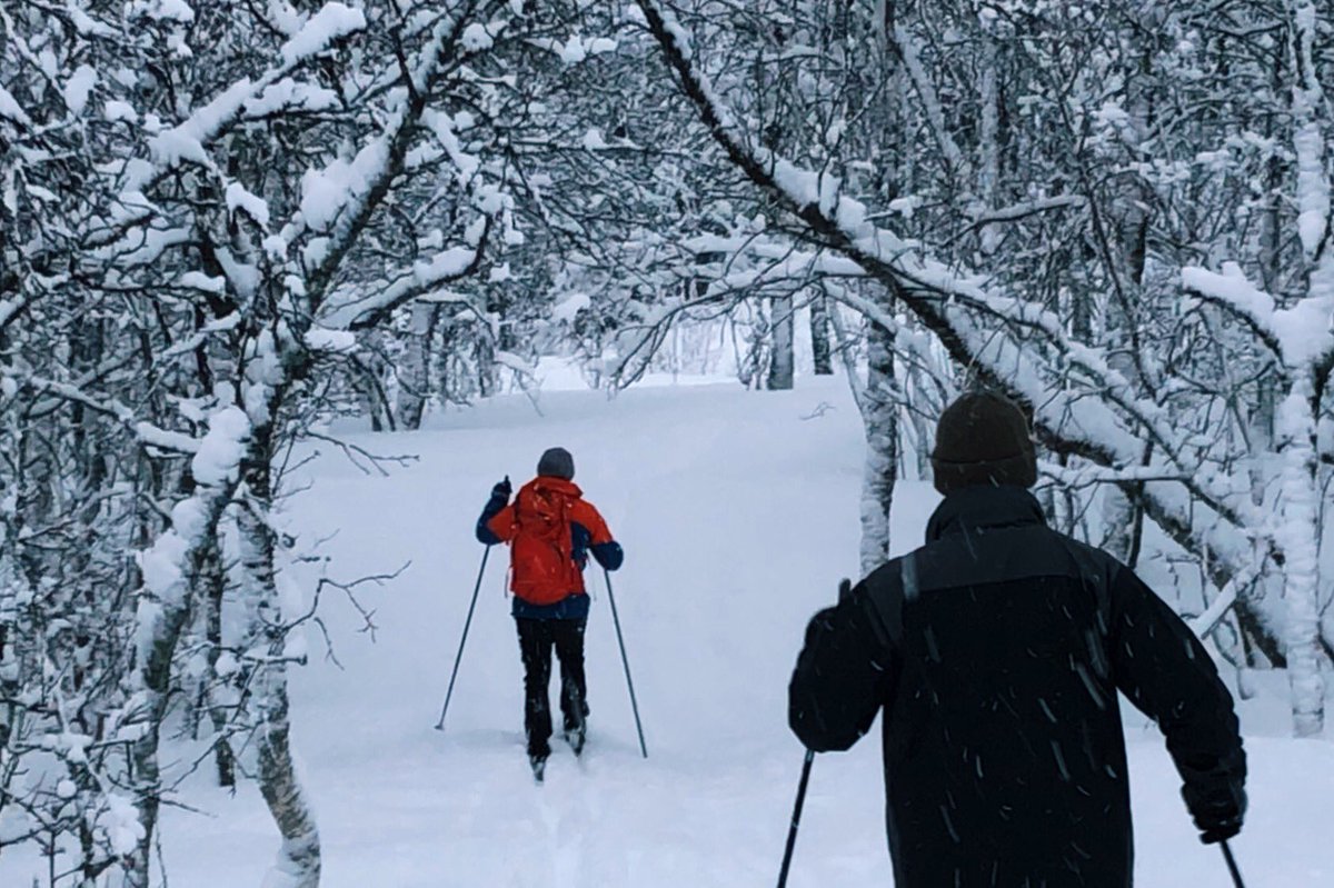 Tromso Outdoor tweet media