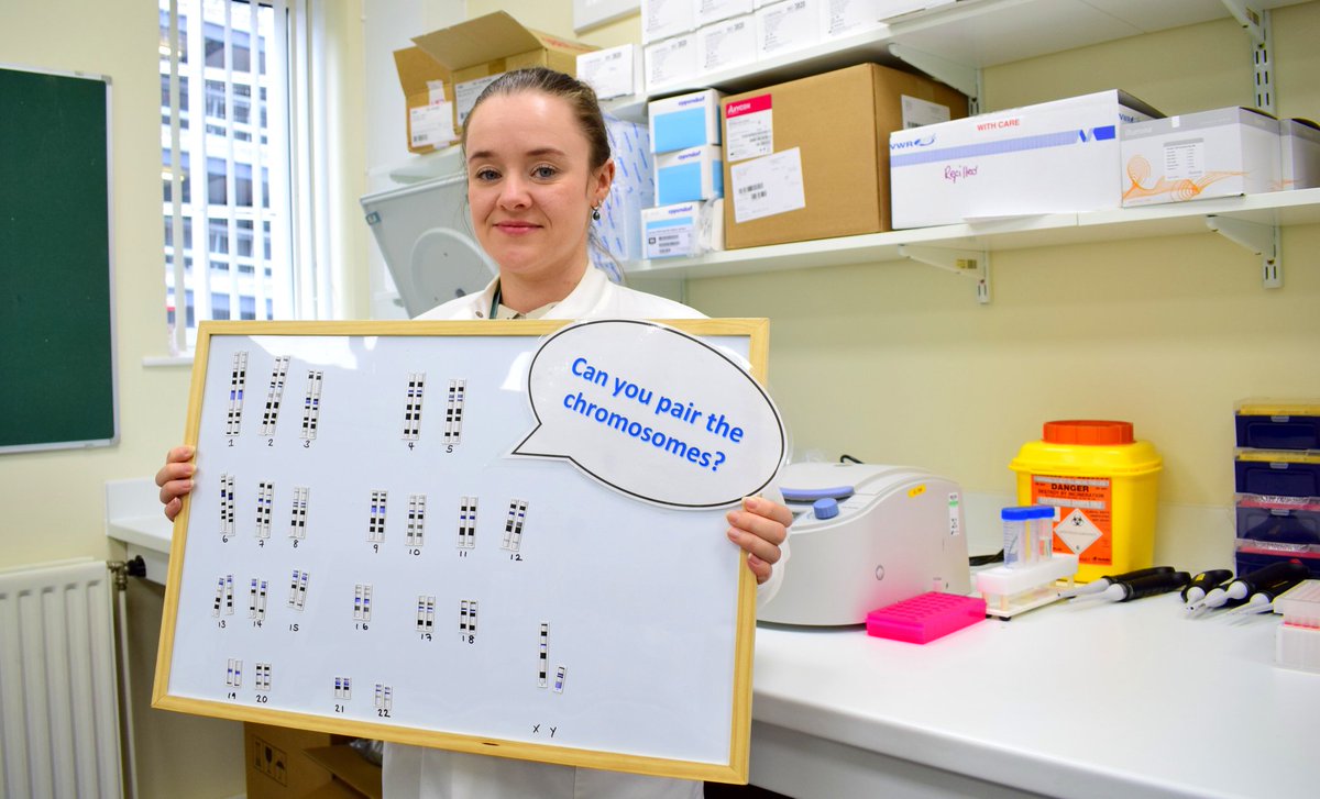 WMRGL's tweet image. This is Melissa, one of our Clinical Scientists. Here she shows you how to pair up your chromosomes to make the full Karyotype.

#HCSWeek20 @WeHCScientists #Genomics