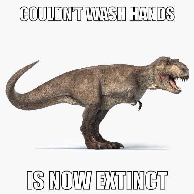 image of Tyrannosaurus Rex, Couldn't wash hands, is now extinct, select to see CDC findings and recommendations on the coronavirus that causes COVID-19