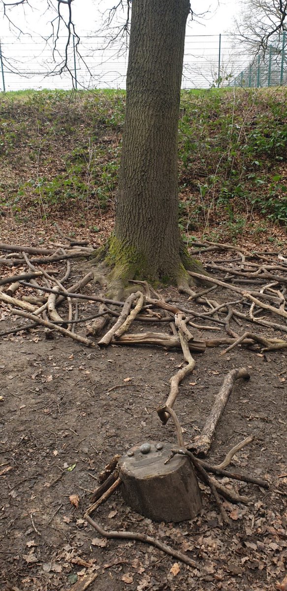 Reception made a giant spiders web in their forest school session. #teamwork #outdoorlearning #weloveminibeasts