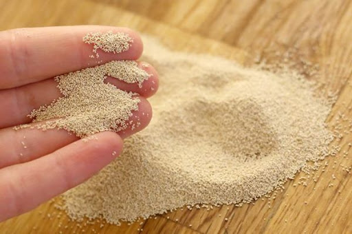 mrexplor's tweet image. Global Feed Yeast Market likely boom with higher CAGR by 2025 according to a new research report- bit.ly/39MjctI
#FeedYeast #Feed #Yeast #healthcare #health #Medical #nutrition #animal #poultry #market #Trending #share #Growth #marketresearchexplore
