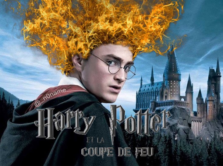 ｎ０ｎａｍｅ on X: Harry Potter et la coupe de feu 🔥  /  X