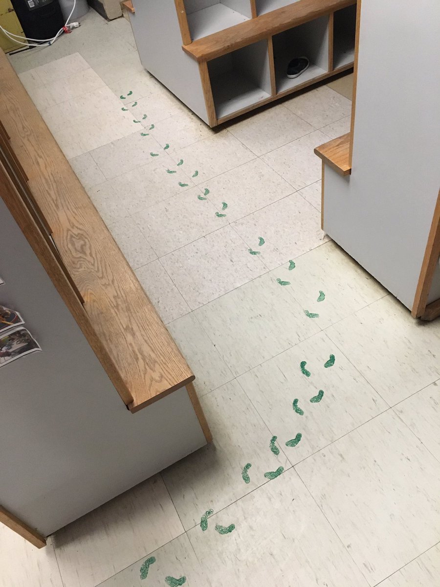 PVWPanthers's tweet photo. Kdgn are on the look out for a leprechaun. We hope they can get his pot of gold and share it with us.😉🍀🌈 https://t.co/9ByVFdhL2e