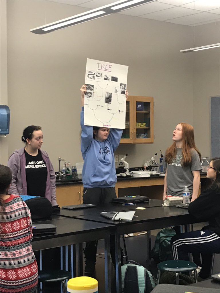 I had an old paper lab for cladogram construction that was kind of blah, so I #flippedtheswitch and gave my Ss the organisms, made them collaborate and figure out their own #cladograms based on characteristics, then share out their reasoning. #innovativescience #deepthinking