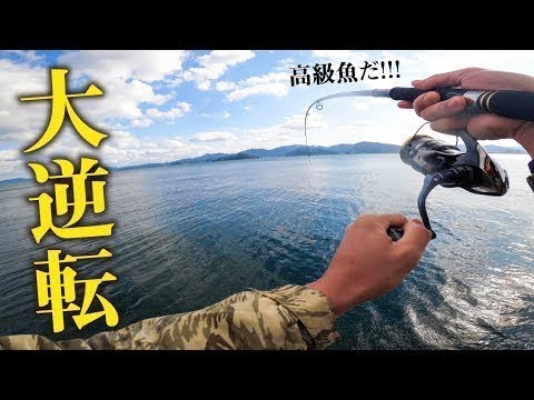 Drop In 離島で釣り車中泊旅 アジの泳がせ釣りで一発大逆転 編 九州一周釣り旅 19 T Co 55vj7j0lah 離島で釣り車中泊旅 アジの泳がせ釣りで一発大逆転 編 九州一周釣り旅 19 今回は大分県南部にある離島 大入島 に釣り車