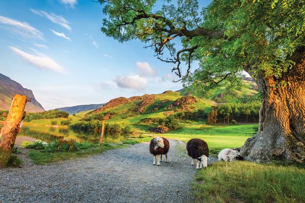 Fear Not, Britain is Open for Business ow.ly/uax450yJ4i1 #royals #travelgoals #gulliverstravel #fortworth to #britain #europe