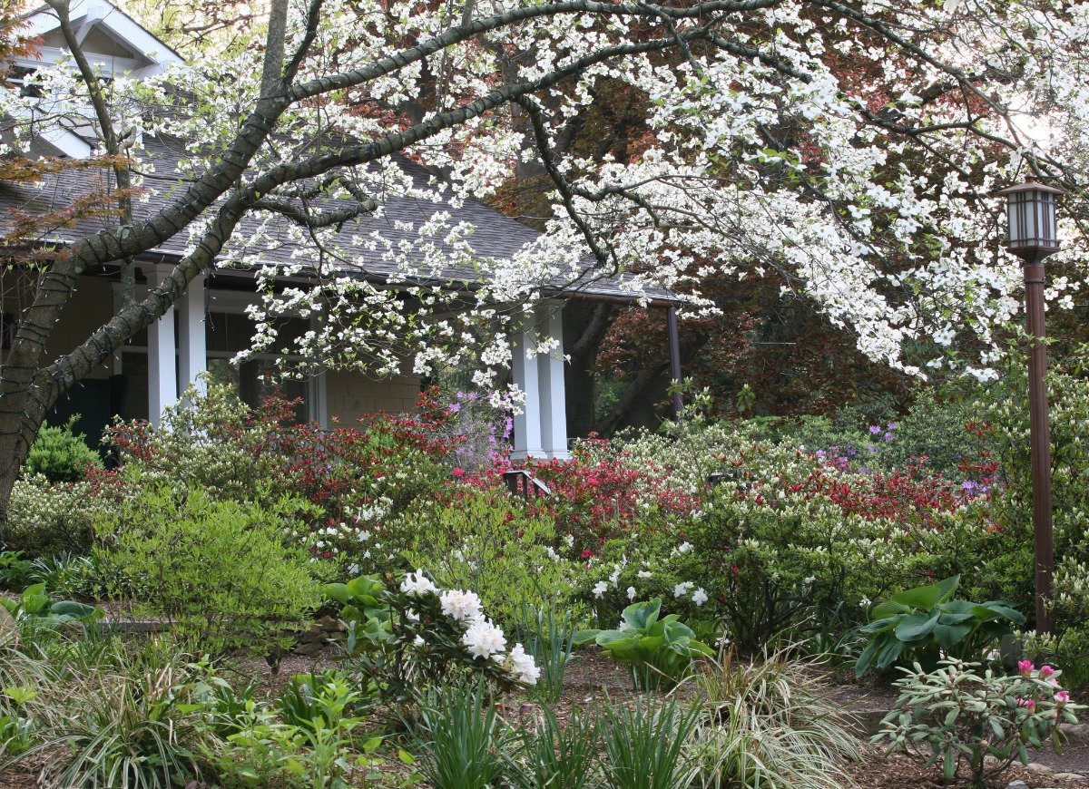 16 Landscaping Trends You Can Expect to See This Year bobvila.com/slideshow/16-l…
