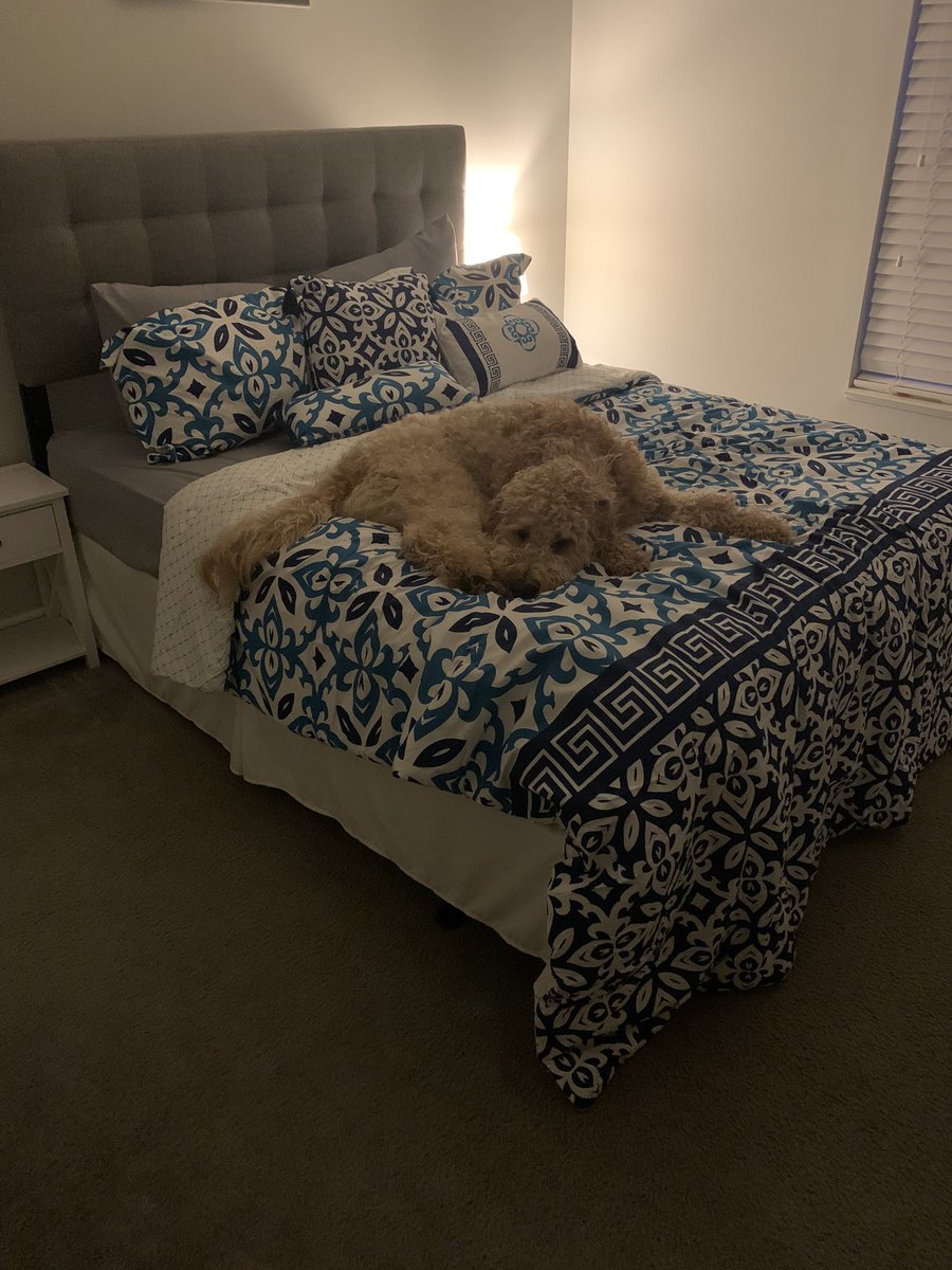 Frank says, “Fuck you Coronavirus, I’m stayin’ in the guest room 🖕🏼”