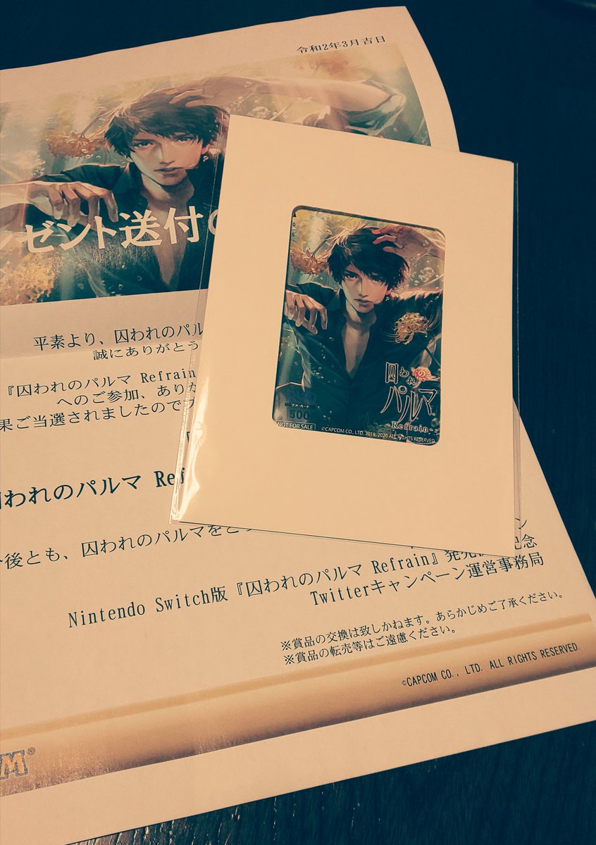 圭加 エンドレス Ke Ika Palm Twitter 圭加 エンドレス Ke Ika Palm Twitter