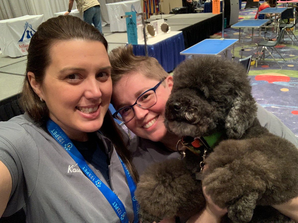 PetSmart Grooming Team tweet media