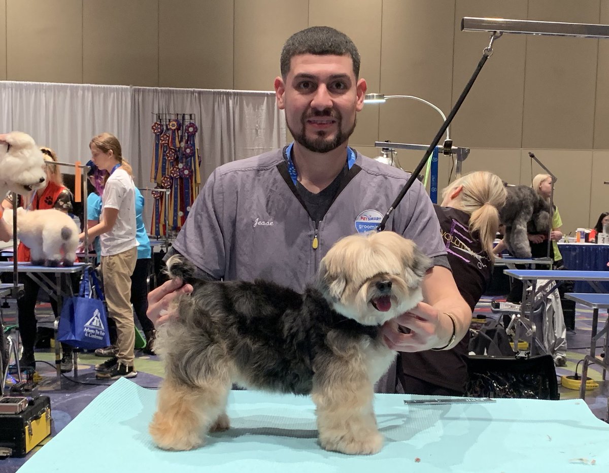 PetSmart Grooming Team tweet media