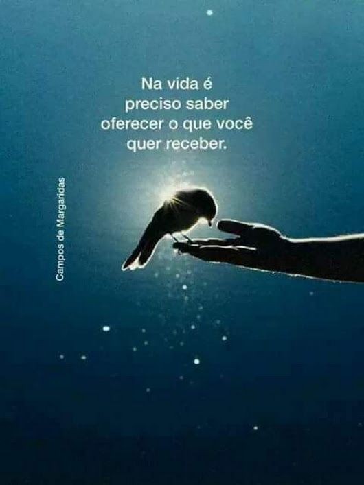 Sandra 🌸🌹🍃 on Twitter: Sandra 🌸🌹🍃 on Twitter: