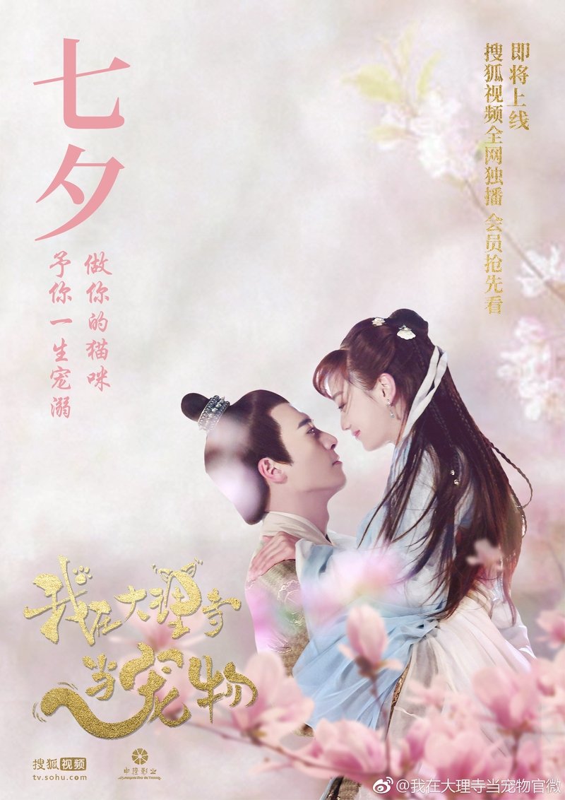 Я любимец храма дали дорама. Дорама кошка из палаты по уголовным. Я питомец в храме дали 2018. Я любимец храма дали дорама русская озвучка. Я любимец храма дали (2018) дорама.