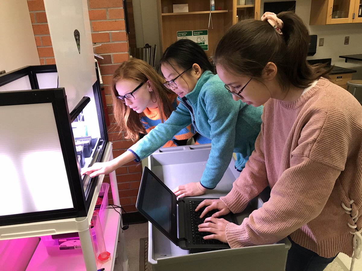 ftc10309's tweet photo. 8 Space plants (GBE1,136,140&amp;14) from @GrowBeyondEarth &amp; @FairchdChallnge growing fine (D16) at Jefferson MS @THEPACK2019. Compared to 1st trial: no sign of algae/mold Yay! Ave. # of true leaves is 1.2 less; drier dirt surface; slower grow speed. 
@NASAedu @MidlandPS @FIRSTweets https://t.co/z2krQLLZcp