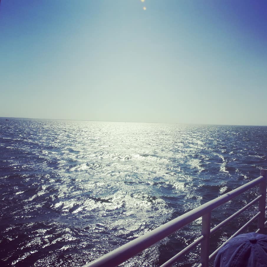 Captiva Cruises tweet media