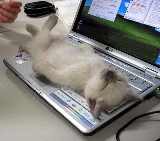 CACRCRecycles's tweet photo. Don't sleep on the great deals that CACRC has to offer! We have a great desktops for kids program. Pay just $50 for a full desktop system ( includes a 19 inch monitor, keyboard and a mouse as well.) This week we also have 10% off on any desktop or laptop in stock https://t.co/G9CeeS8ZFh