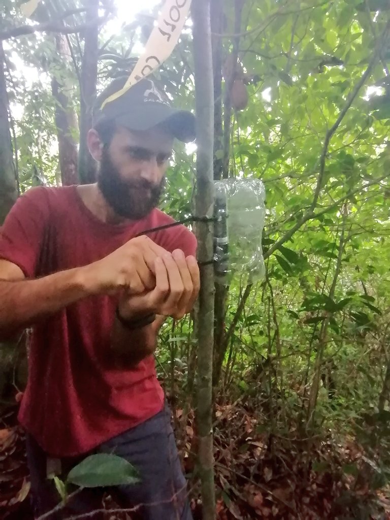 biomauro_rtg's tweet photo. We will develop #Ecological/ #Environmental #modeling to assess the effects of global change on biodiversity (frogs, ferns) and threatened ecosystems.
Some species have restricted distributions in Andes and Amazonía, so they are sensitivity to #ClimateChange. @u_ikiam #BioGeoE2 https://t.co/Lu9Uo6Dapf