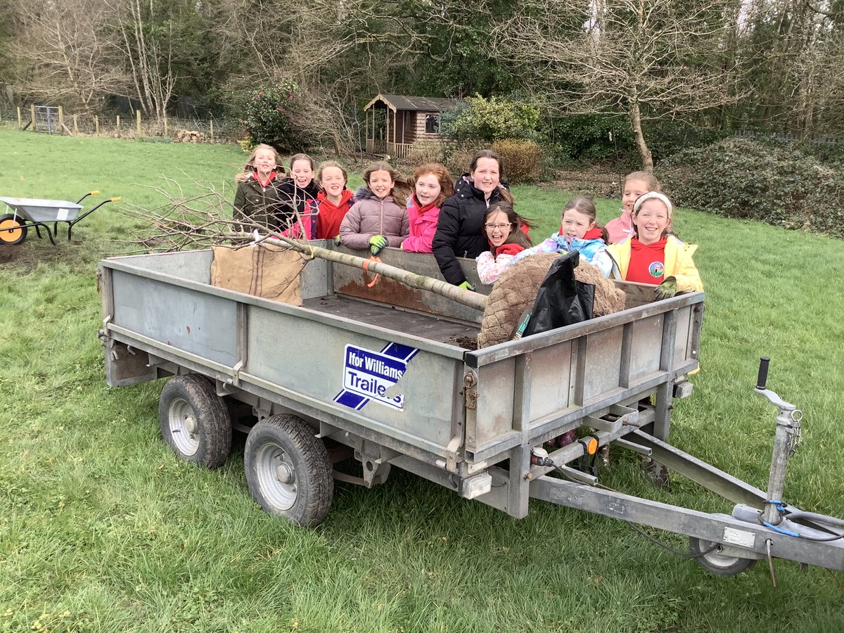 RussellHorsey's tweet photo. Day 2 of @NPTCouncil Countryside Teams project to green their schools, today we r at @CatwgPrimary inspiring the #nextgeneration of #treeprofessionals #biggesttree #Wales #looklikeaforester @MimaLetts @ruthsylvatica @TheICF @ArboricultureW @thereichlin @talkingforests #urbantrees https://t.co/a0851UZjcv