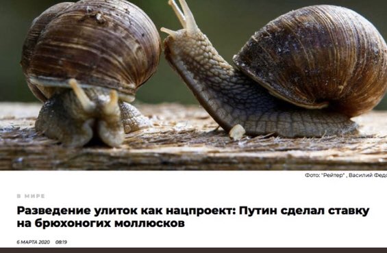 Минфин США ввел санкции против дочерней компании Роснефти в Швейцарии - Цензор.НЕТ 3180