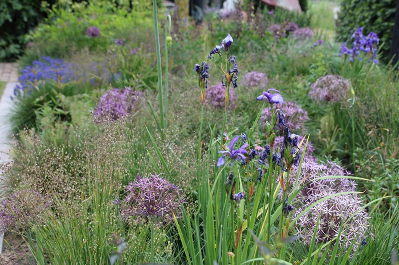 Vanaf volgende week wordt het echt voorjaar; zo zijn de voorspellingen! De hoogste tijd om nieuwe tuinplannen te maken. Lees de net uitgekomen nieuwsbrief van maart en je krijgt inspiratie.
mailchi.mp/46ad2e113fe5/m…