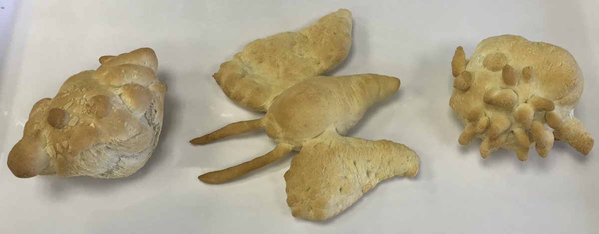My last bread making session on Anglesey this week - yr 1 pupils butterfly.
Really good fun this week thank you Anglesey #nicestkitchens