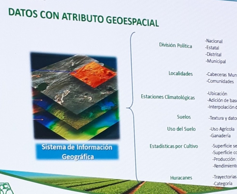 eloacesv's tweet photo. En este camino vamos @urf_cooperativa sistema Lugus seguimiento de cultivos
#alasa2020 https://t.co/KOeTwEwgfA