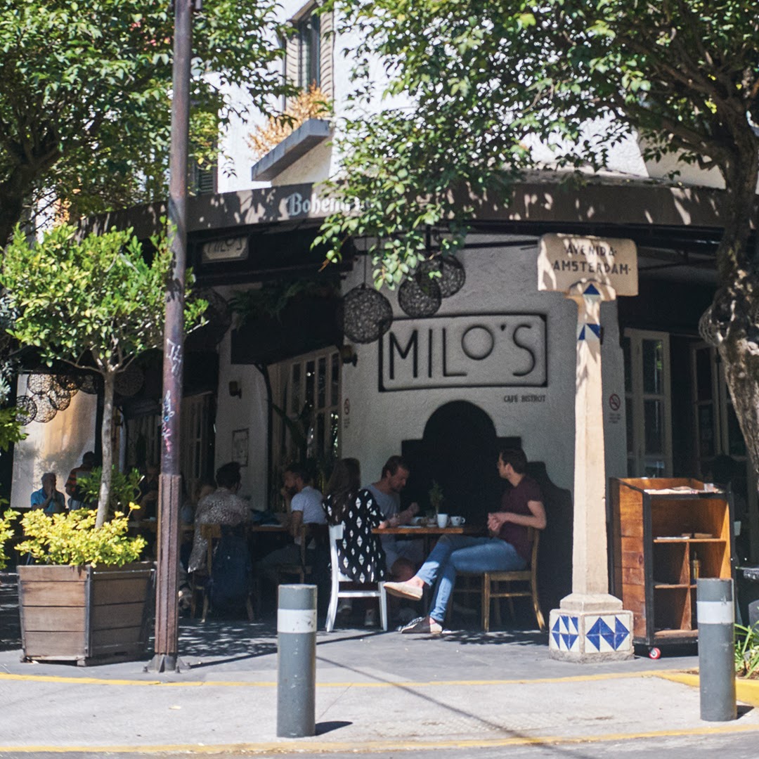 elconocedormx's tweet photo. Toques franceses y platillos deliciosos 🍽 y grandes etiquetas para maridar 🍷, Milo's te pregunta, ¿hoy estás de mood #FitorFat? 🧐 ¡Qué esperas para visitarlo! 🤔 https://t.co/DopcxLMkMf https://t.co/4A3DrWeY6r