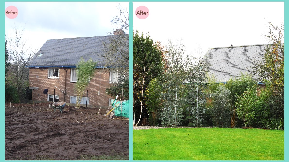 ThePeterBelton's tweet image. Love is blind - but not the neighbors! 

Privacy is essential in any #UrbanGarden . #PrivacyTrees can make a big difference to how much you enjoy your garden.

For more #PrivacyScreening inspiration feel free to phone for a chat  01752 822782 or ➡️ admin@eastofedenplants.co.uk