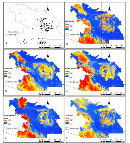 CASE_NMSU's tweet image. Projected future bioclimatic-envelope suitability for Reptiles and Amphibian Species of Concern in South Central USA

bit.ly/2Ih0Vso