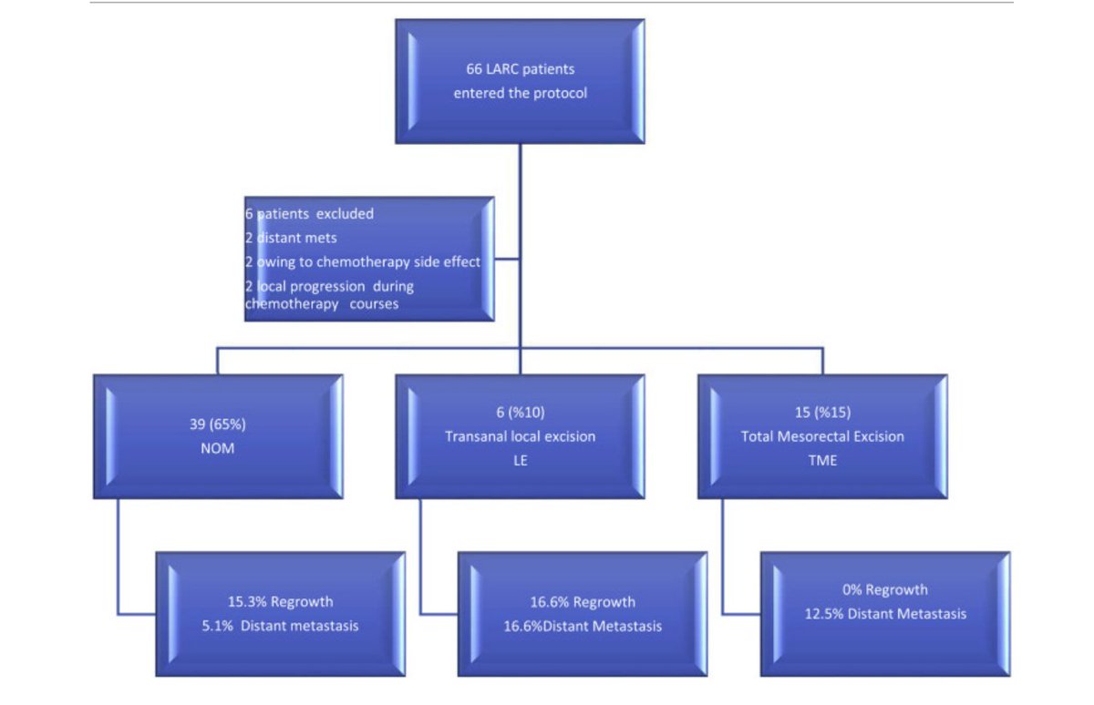 European Journal of Surgical Oncology (@ejsotweets) on Twitter photo The impact of total neo-adjuvant treatment on nonoperative management in patients with locally advanced rectal cancer
#colorectalsurgery #TNT #LARC #NOM
sciencedirect.com/science/articl…
<a href="/AcibademSaglik/">Acıbadem Sağlık</a> <a href="/istanbuledu/">Istanbul University</a> <a href="/oktarasoglu/">oktar asoğlu</a> <a href="/banu_atalar/">Banu Atalar</a> <a href="/TKRCD_/">TKRCD</a> <a href="/ESSOnews/">European Society of Surgical Oncology (ESSO)</a> @OncologyAdvance <a href="/BASO_ACS/">BASO~The Association for Cancer Surgery</a> The impact of total neo-adjuvant treatment on nonoperative management in patients with locally advanced rectal cancer
#colorectalsurgery #TNT #LARC #NOM
sciencedirect.com/science/articl…
<a href="/AcibademSaglik/">Acıbadem Sağlık</a> <a href="/istanbuledu/">Istanbul University</a> <a href="/oktarasoglu/">oktar asoğlu</a> <a href="/banu_atalar/">Banu Atalar</a> <a href="/TKRCD_/">TKRCD</a> <a href="/ESSOnews/">European Society of Surgical Oncology (ESSO)</a> @OncologyAdvance <a href="/BASO_ACS/">BASO~The Association for Cancer Surgery</a>