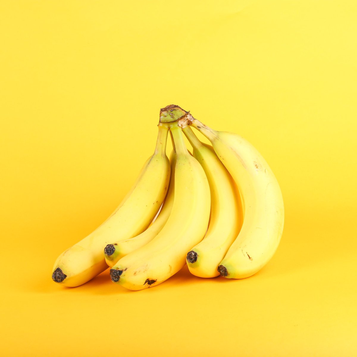 letsdinnerapp's tweet photo. Did you know that cooking together creates positive memory association? Life's most important and special moments don't just involve food - they often they revolve around food. Start creating lasting memories! 
#letsdinner ✌🏻

📷: Giorgio Trovato on Unsplash https://t.co/FHG2jrcoEb