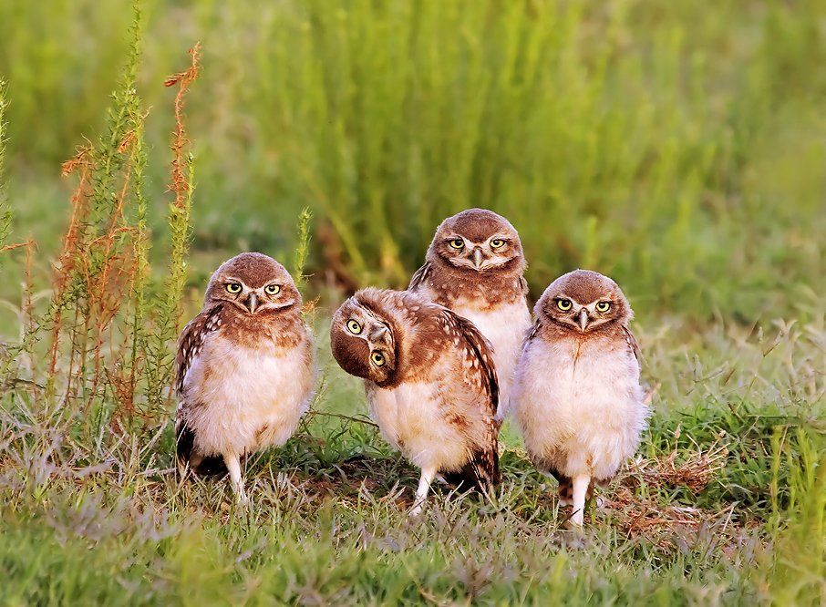thelaceylondon's tweet photo. In six words or fewer, write a short story about this photo...

#amwriting #sixwordstory https://t.co/JajIavinmI