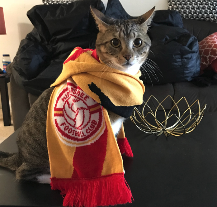 Flight9Lives's tweet photo. @TheNutmegNews Rocket is too hipster to support mainstream corporate teams, man https://t.co/RCnh8Rcwif