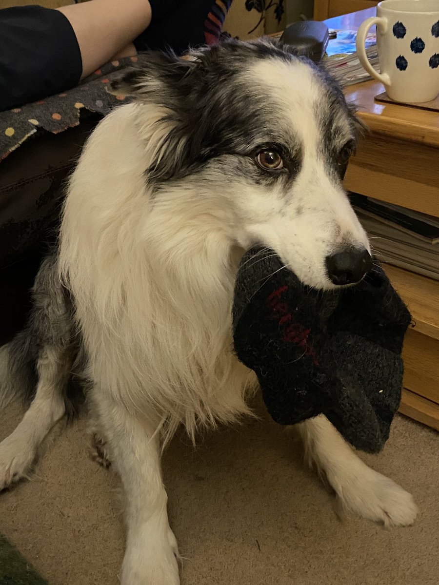 WaysideHealer's tweet photo. Heโs a bit late tonight.
#SockTime https://t.co/D2UMu14LYL