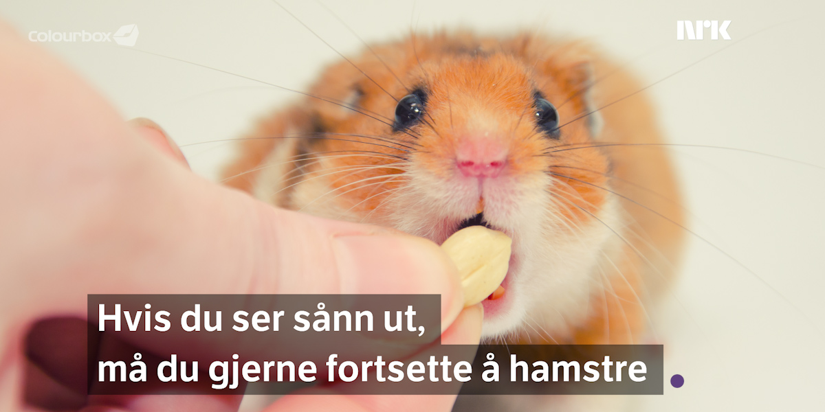 Hvis du er et menneske er det ingen grunn til å hamstre matvarer eller febernedsettende. Det er mer enn nok til alle: nrk.no/1.14940126