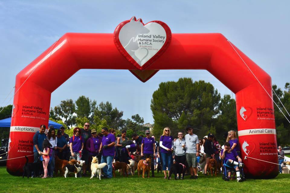 PDesignGroup's tweet photo. Inflatable Arch for Inland Valley Humane Society & S.P.C.A.
https://t.co/KSYzNGKMjl
#InflatableArch
#CustomInflatables
#Inflatables https://t.co/a59oPqAXs4