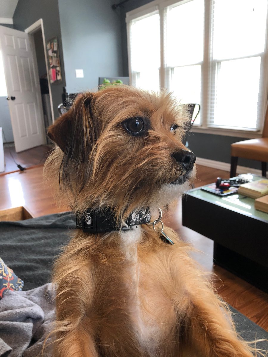 Rebecca Fernandez tweet media