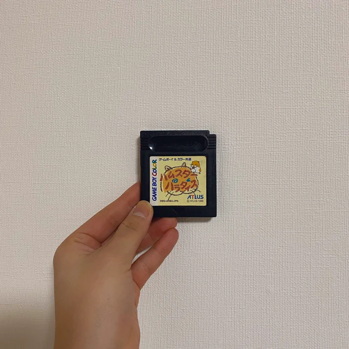 ハムスターのカセット持ちすぎでは?? 